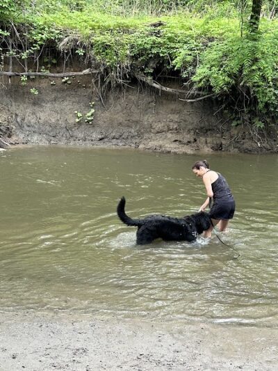 Spring Lake Park - Penfield, NY