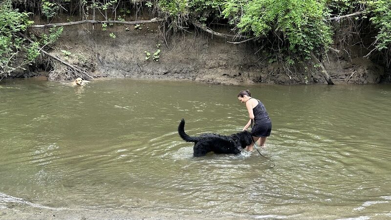 Spring Lake Park - Penfield, NY