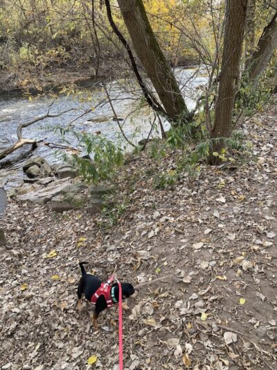 Spring Lake Park - Penfield, NY