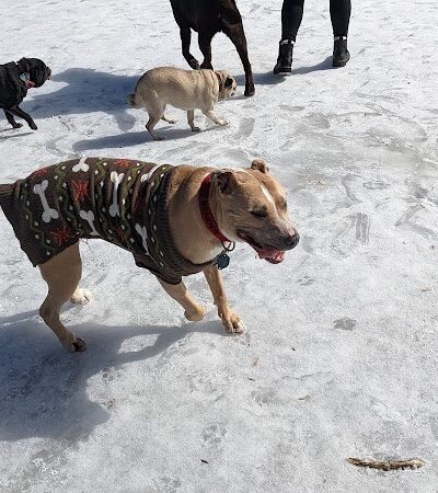 Spring Lake Park - Penfield, NY