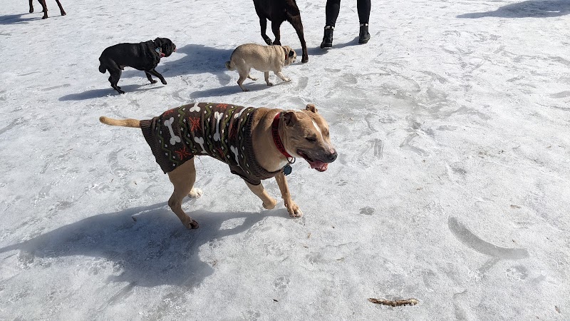 Spring Lake Park - Penfield, NY