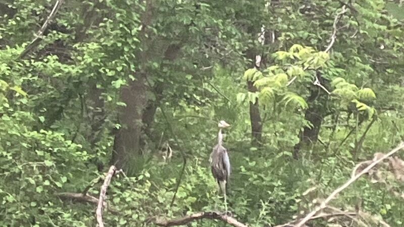 Spring Lake Park - Penfield, NY