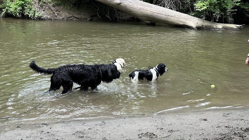 Spring Lake Park - Penfield, NY