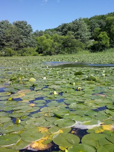 Yellow Creek State Park - Penn Run, PA