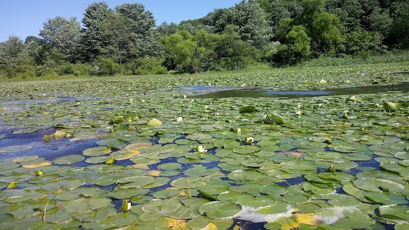 Yellow Creek State Park - Penn Run, PA