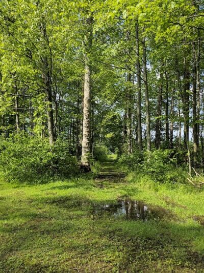 Yellow Creek State Park - Penn Run, PA