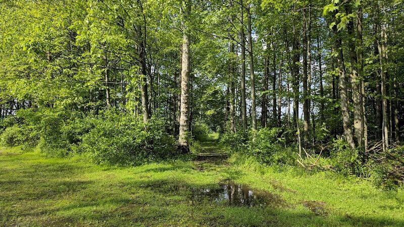 Yellow Creek State Park - Penn Run, PA