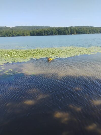 Yellow Creek State Park - Penn Run, PA