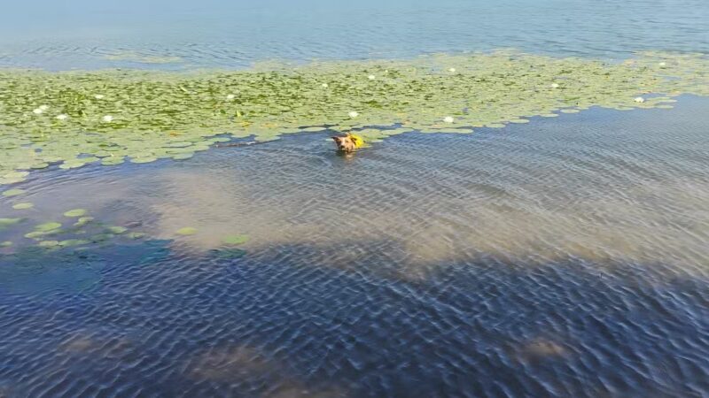 Yellow Creek State Park - Penn Run, PA