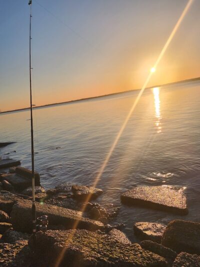 Nick Mowers Dog Park - Pennsville, NJ