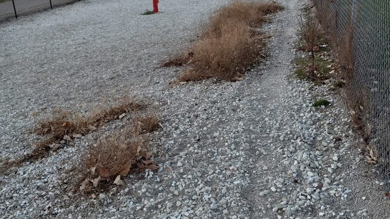 Duryea Dog Park - Peoria Heights, IL