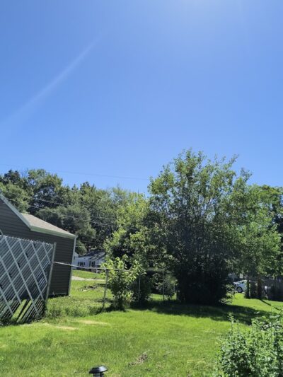 Duryea Dog Park - Peoria Heights, IL