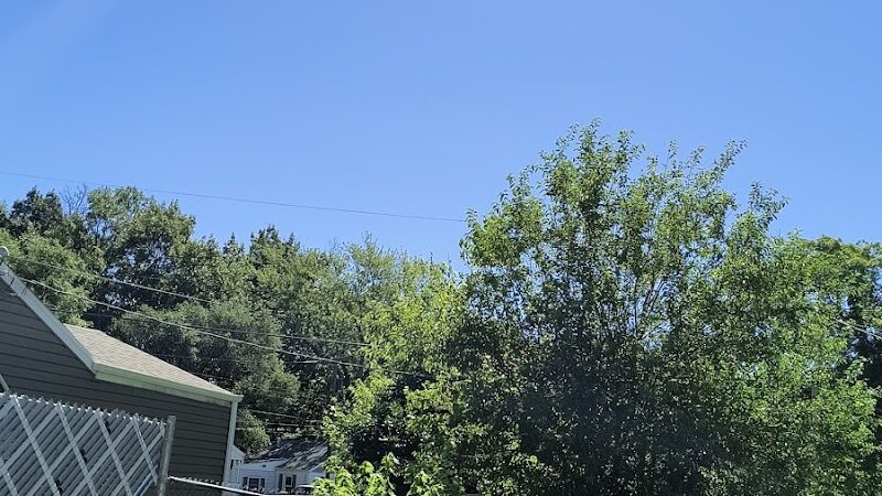 Duryea Dog Park - Peoria Heights, IL