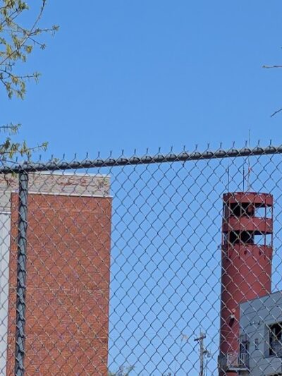 Duryea Dog Park - Peoria Heights, IL