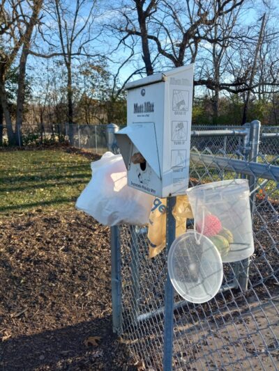 Dog Park Bradley Park - Peoria, IL