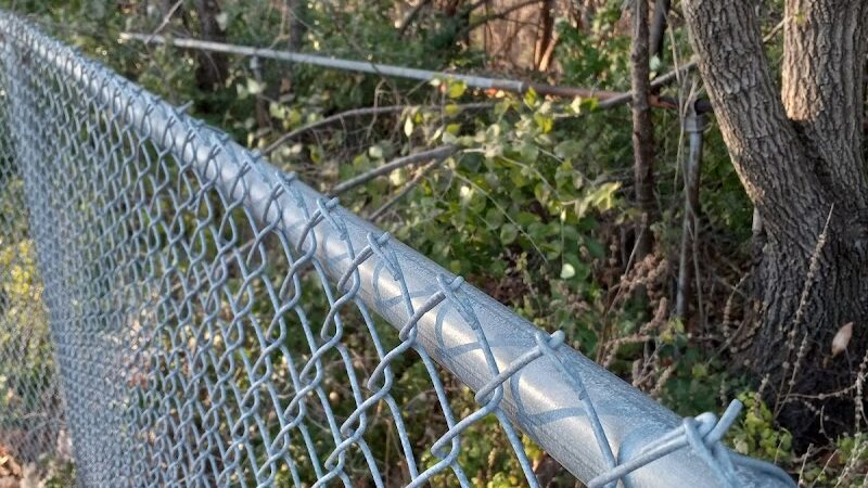 Dog Park Bradley Park - Peoria, IL