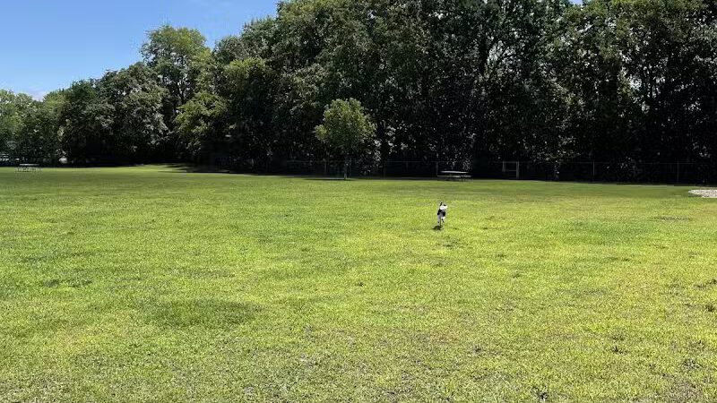 Dog Park Bradley Park - Peoria, IL