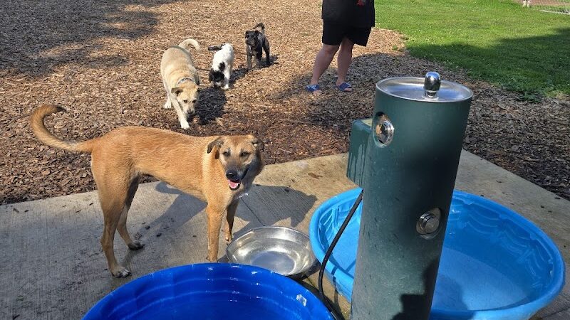 Lower Bradley dog park - Peoria, IL