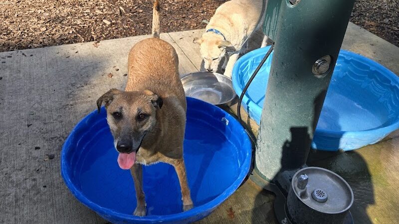 Lower Bradley dog park - Peoria, IL