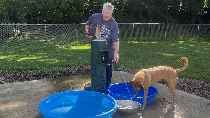 Lower Bradley dog park - Peoria, IL