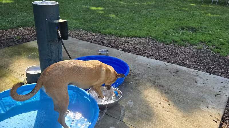 Lower Bradley dog park - Peoria, IL