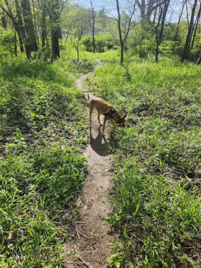 Vicary Bottoms Park - Peoria, IL