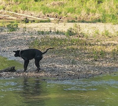 Vicary Bottoms Park - Peoria, IL