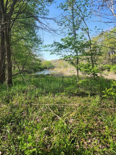 Vicary Bottoms Park - Peoria, IL