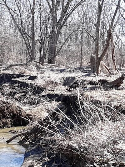 Vicary Bottoms Park - Peoria, IL