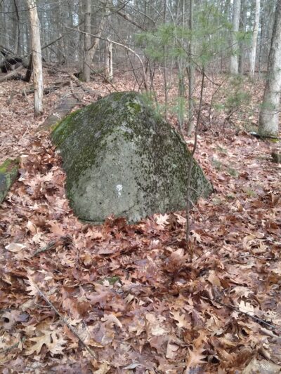 Pepperell Town Forest Rest Area & Trail - Pepperell, MA
