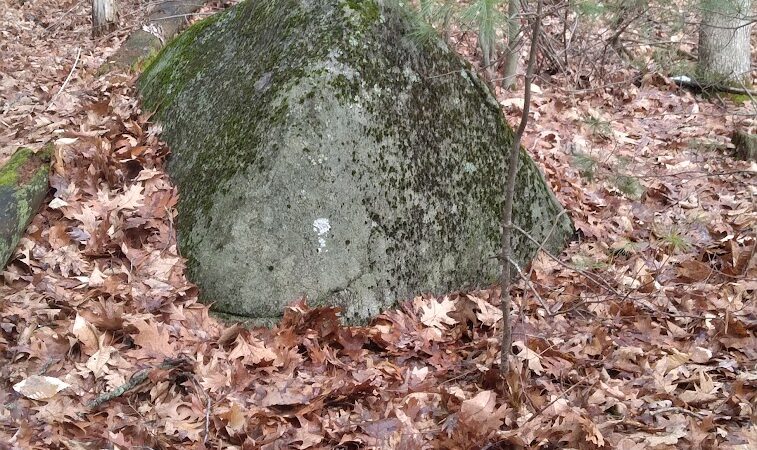 Pepperell Town Forest Rest Area & Trail - Pepperell, MA