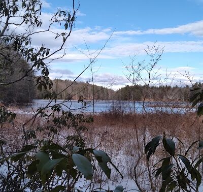 Pepperell Town Forest Rest Area & Trail - Pepperell, MA