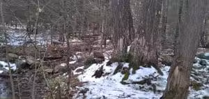 Pepperell Town Forest Rest Area & Trail - Pepperell, MA