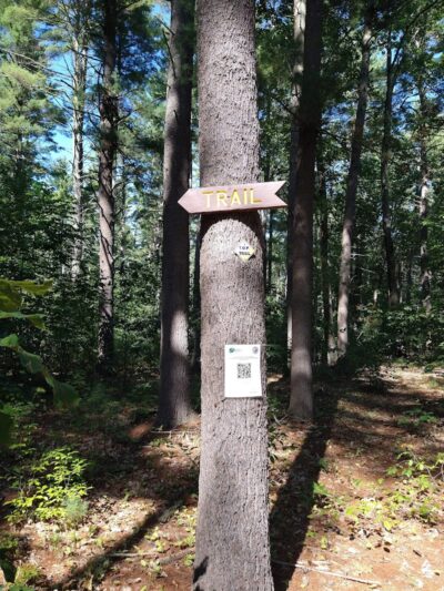 Pepperell Town Forest Rest Area & Trail - Pepperell, MA
