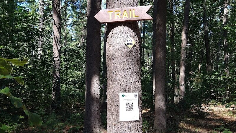 Pepperell Town Forest Rest Area & Trail - Pepperell, MA