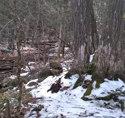 Pepperell Town Forest Rest Area & Trail - Pepperell, MA