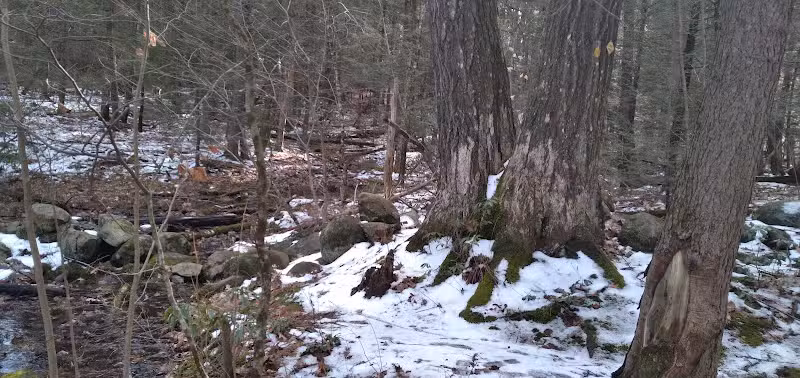 Pepperell Town Forest Rest Area & Trail - Pepperell, MA