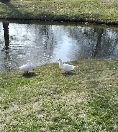 Hornady Park - Petersburg, IN