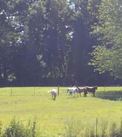 Prides Creek Conservancy Dstrc - Petersburg, IN