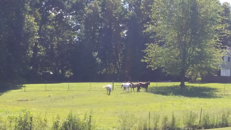 Prides Creek Conservancy Dstrc - Petersburg, IN