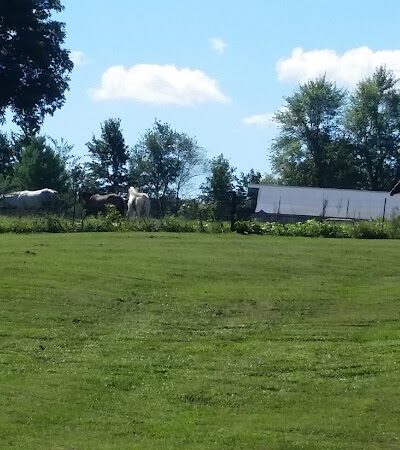 Prides Creek Conservancy Dstrc - Petersburg, IN