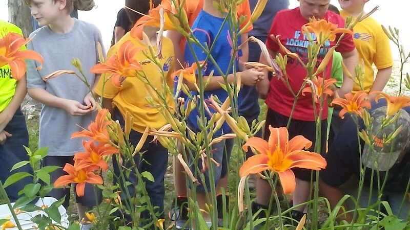 Prides Creek Conservancy Dstrc - Petersburg, IN