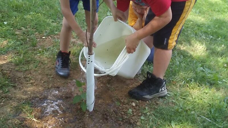 Prides Creek Conservancy Dstrc - Petersburg, IN