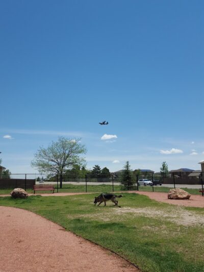 Garden of the Dogs - Peterson Space Force Base, CO