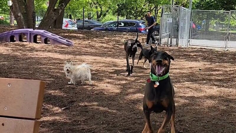 Orianna Hill Park - Philadelphia, PA