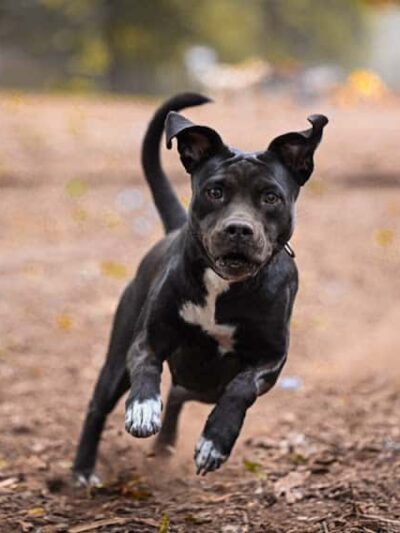 Orianna Hill Park - Philadelphia, PA