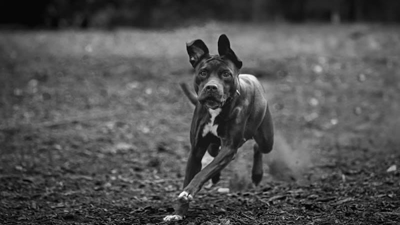 Orianna Hill Park - Philadelphia, PA