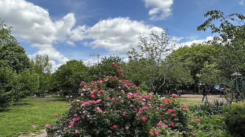 Orianna Hill Park - Philadelphia, PA