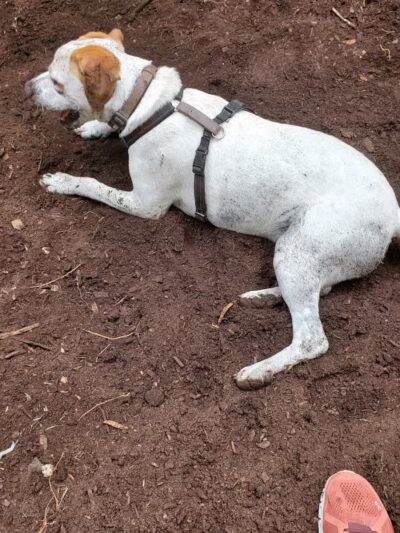 Orianna Hill Park - Philadelphia, PA