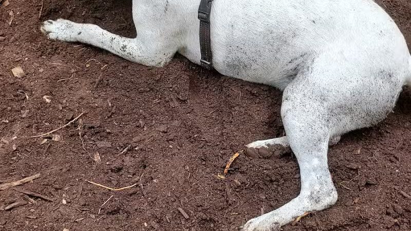 Orianna Hill Park - Philadelphia, PA